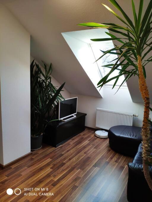 Tolle Wohnung In Zentraler Lage In Neu-Ulm Luaran gambar