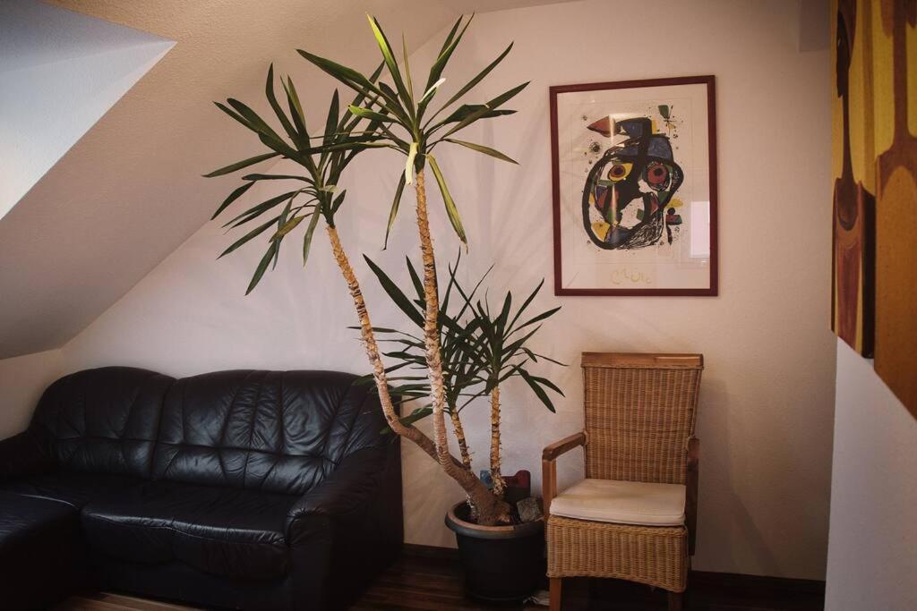 Tolle Wohnung In Zentraler Lage In Neu-Ulm Luaran gambar