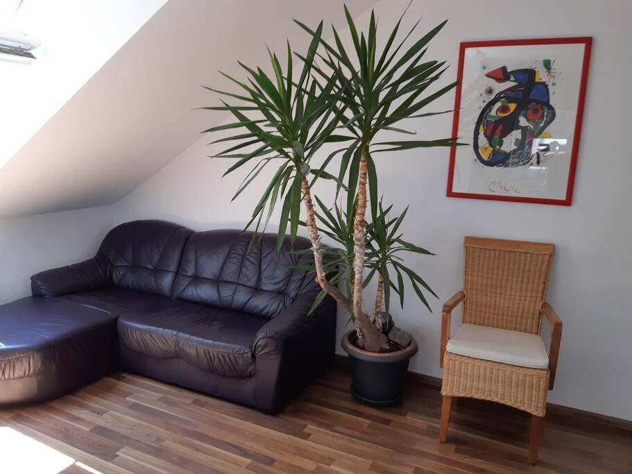 Tolle Wohnung In Zentraler Lage In Neu-Ulm Luaran gambar